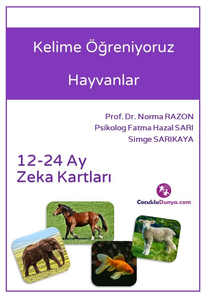 Sevgilibebek 12 24 Ay Zeka Kartlari Seti Amazon Com Tr