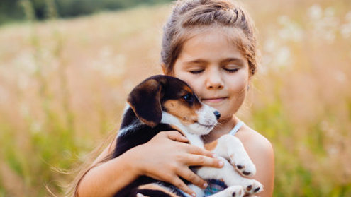 Hayvan Sevgisinin Çocuklara Yararları