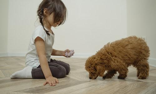 Çocuklara Hayvan Sevgisi Nasıl Verilir