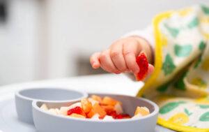 bebekler için parmak gıdalar