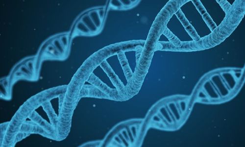 Genetik Danışmanlık Hangi Durumlarda Gerekli Olabilir?