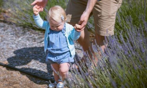 11 Aylık Bebek Gelişim Özellikleri