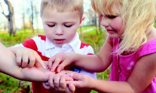 15 Aylık Bebek Gelişimi Hakkında Bilmeniz Gerekenler