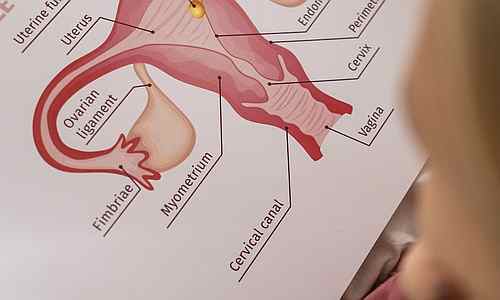 Labial Yapışıklık Nedir, Nasıl Oluşur, Hangi Bulguları Verir?