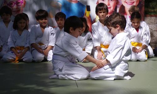3-6 Yaş Çocuk Gelişiminde Aikido Eğitiminin Faydaları